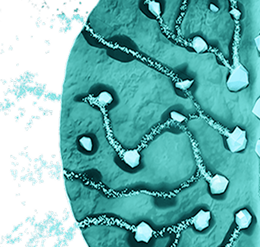 Scientific illustration of the microspheres releasing a corticosteroid.