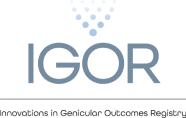IGOR logo with blue dots pattern