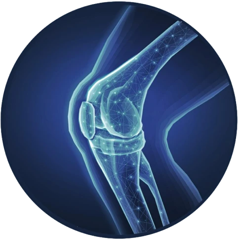 hero circle knee