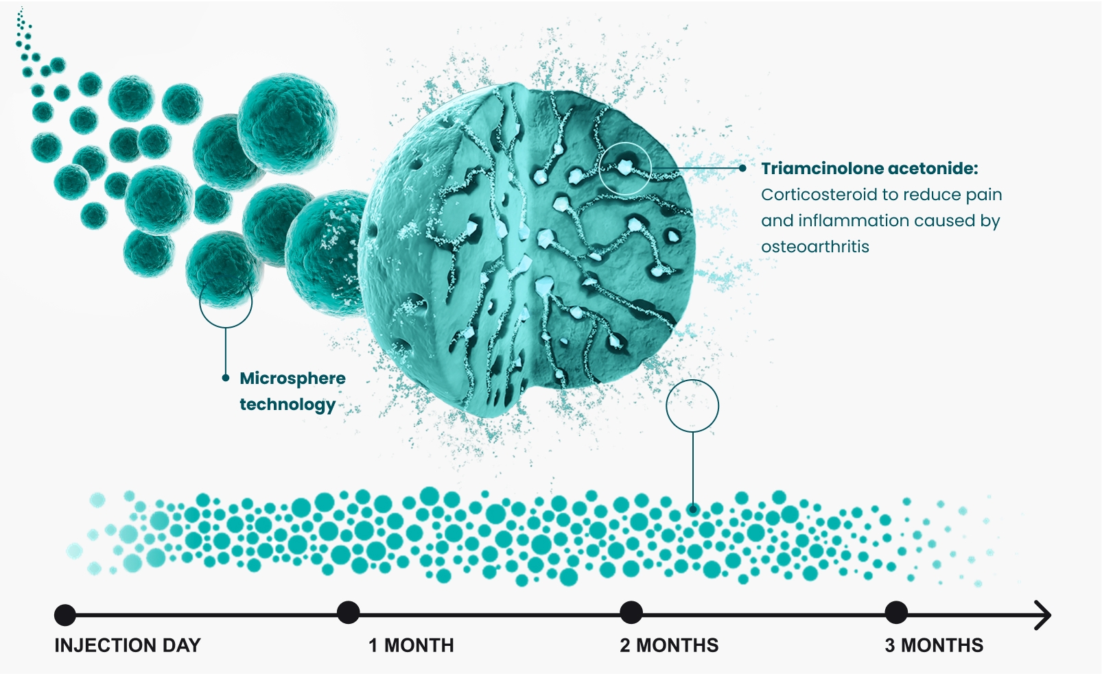 Diagram of microsphere technology releasing triamcinolone acetonide over a timeline of three months.