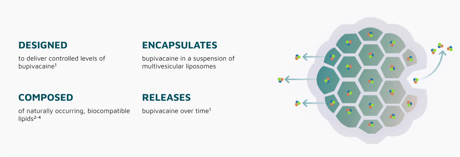 pacira exparel hero rebrand