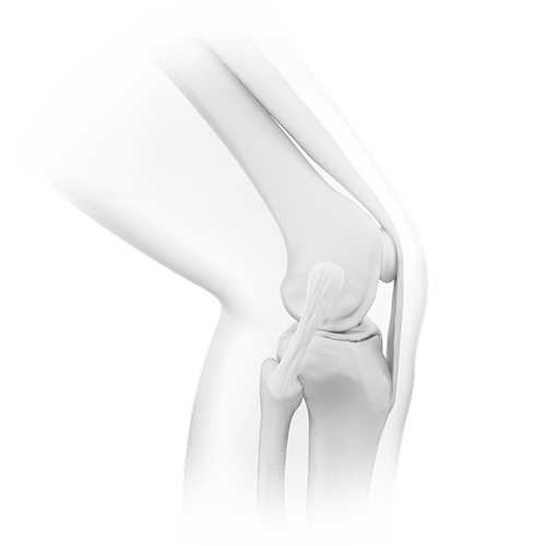 knee neutral 3 resized