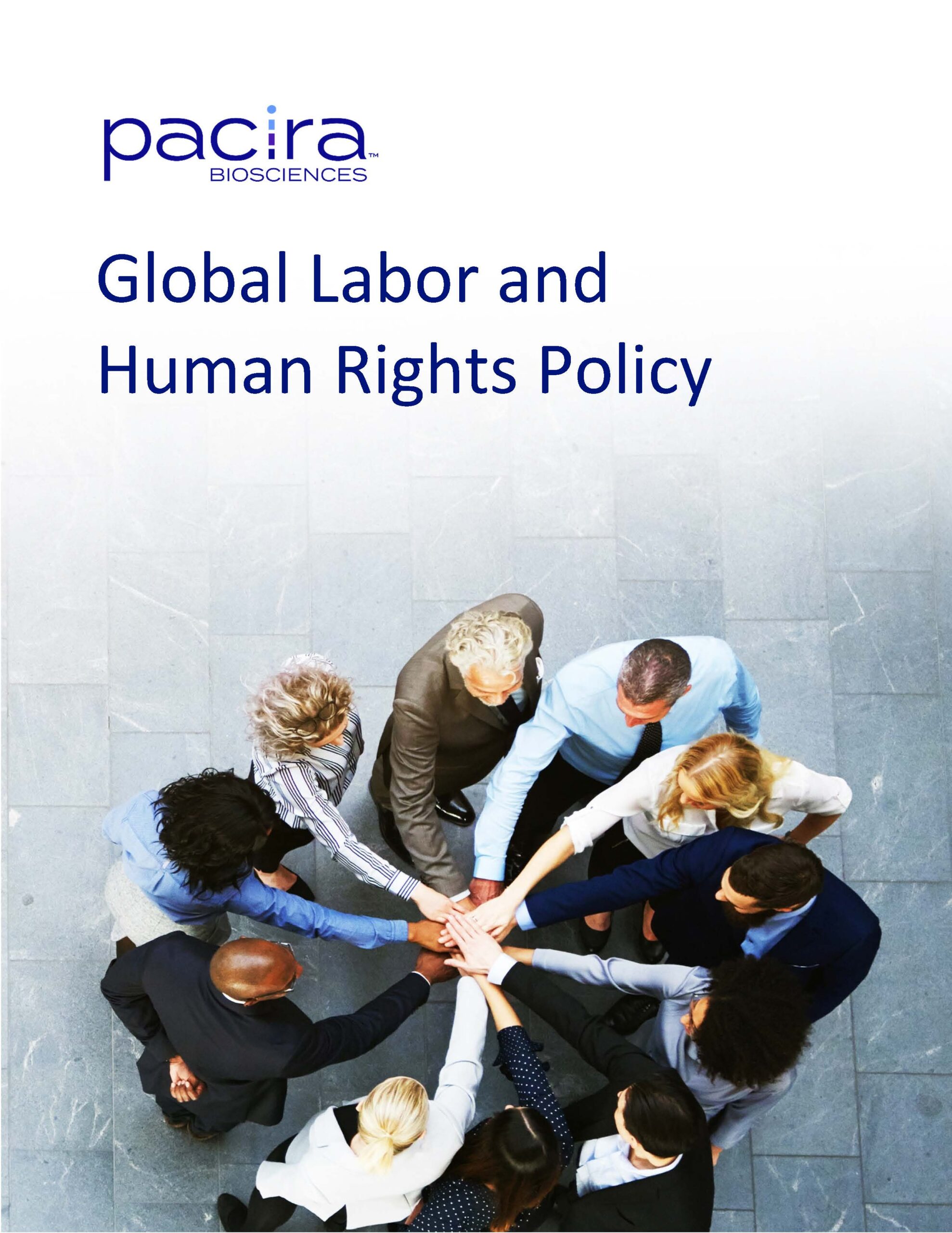 Global Labor and Human Rights Policy