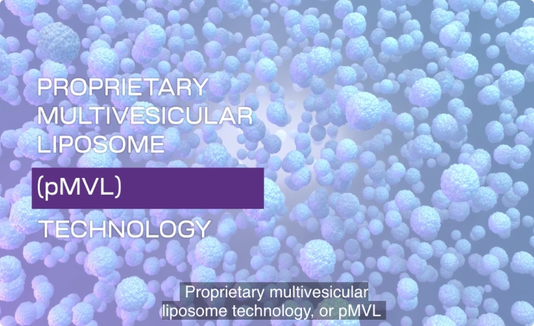 Video still illustrating multiple 3D renderings of pMVL carrier matrixes.