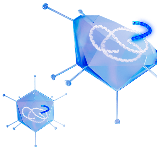 pcrx 201 square 251015