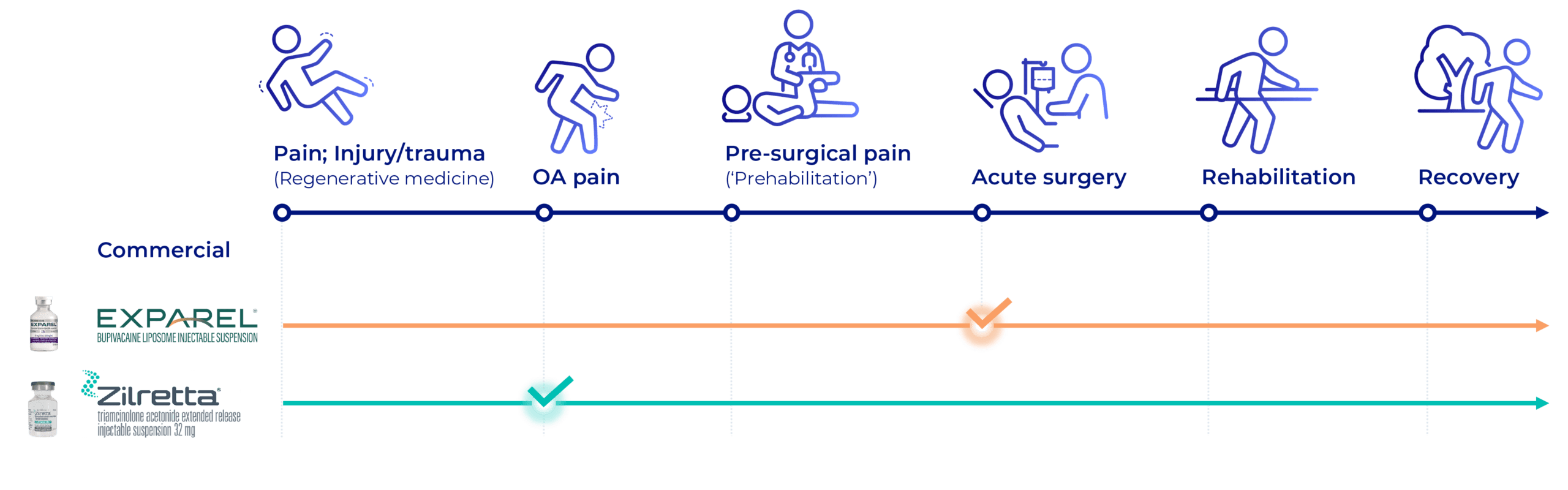 patient journey 20260722